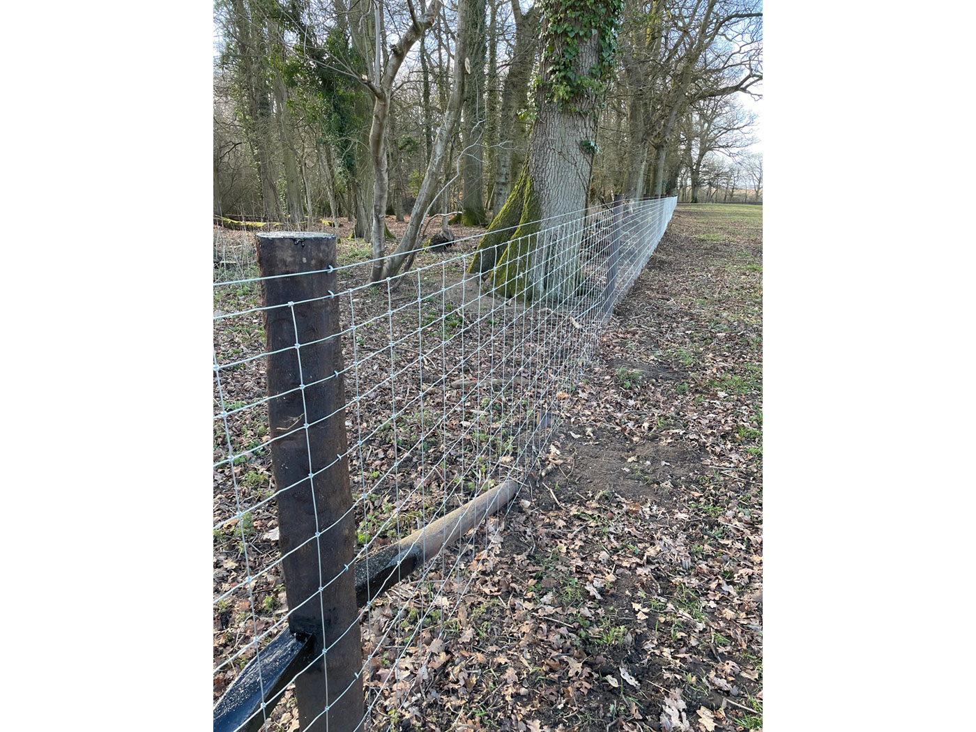 Tornado wire fencing by Vincent Fencing