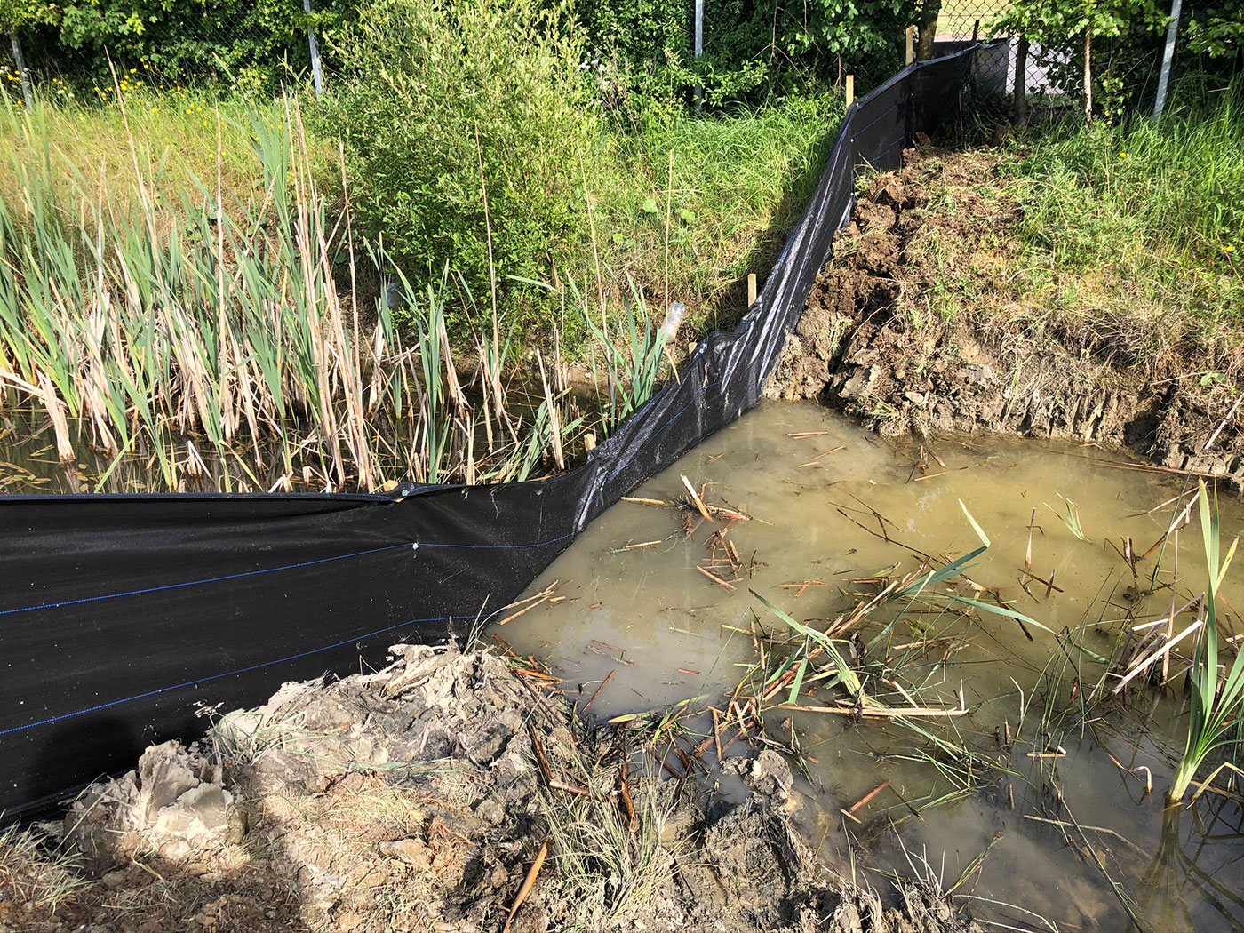 Environmental fencing for Newts by Vincent Fencing